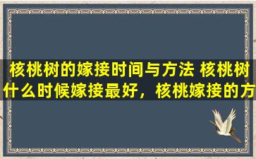 核桃树的嫁接时间与方法 核桃树什么时候嫁接最好，核桃嫁接的方法有哪些